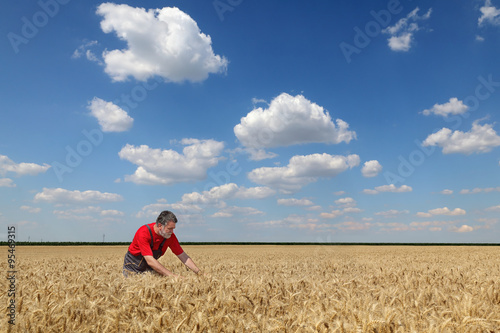 Agriculture, farmer in wheat field © sima