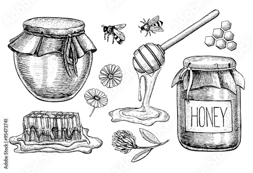 Vector honey set. Vintage hand drawn illustration
