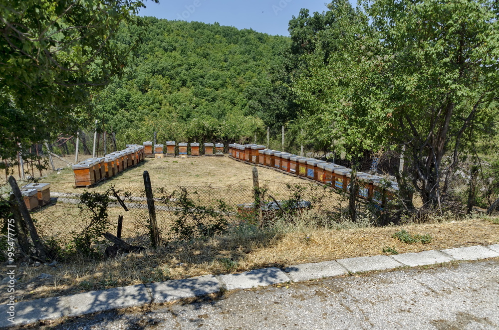 Part of farmyard with apiary at  Batkun Monastery 