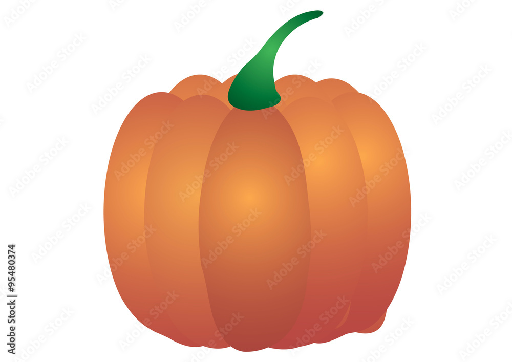 Vector illustration. Pumpkin on a white background. Vector illustration. Pumpkin on a white background.