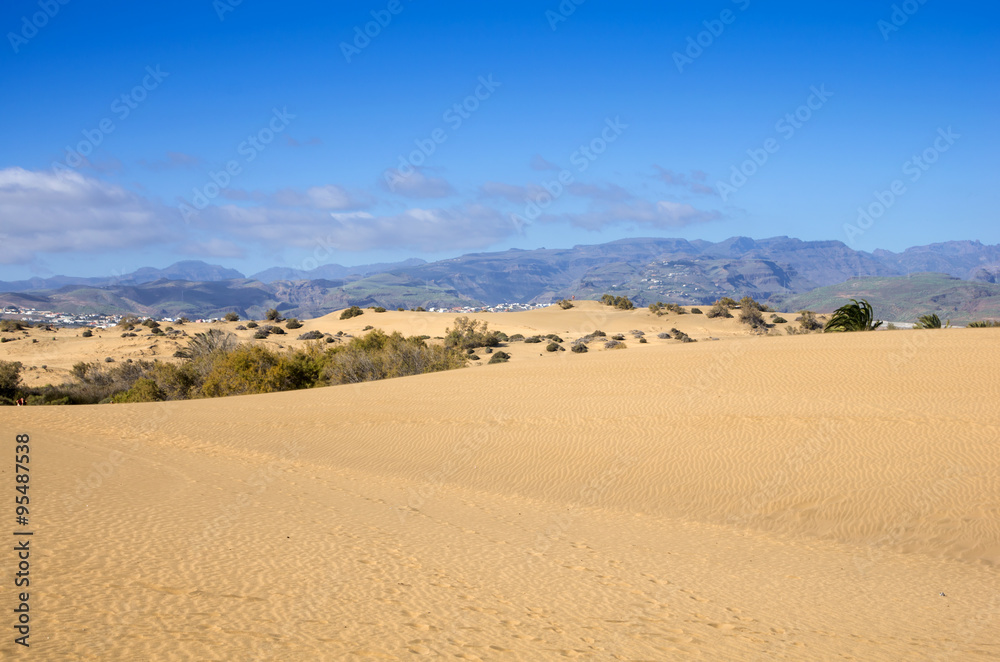 Dunes of Maspalomas