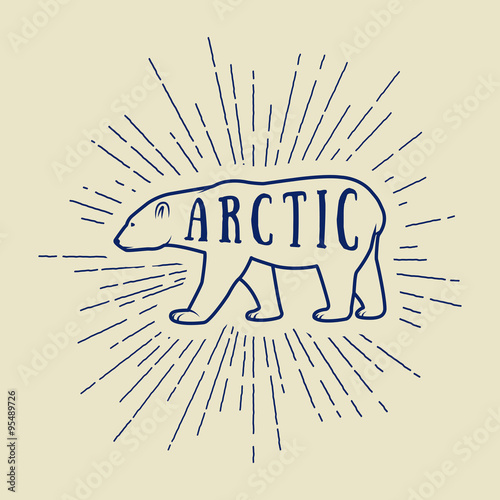 Vintage arctic white bear with slogan. Vector illustration