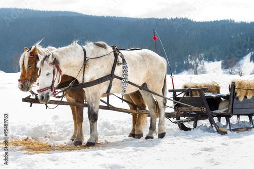 Horse sledge, alternative winter transport, tourist attraction