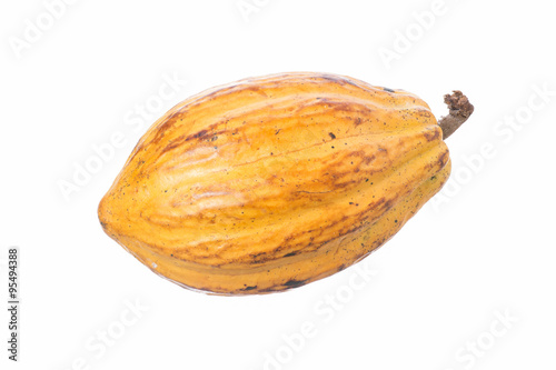 Cacao pod isolated on white
