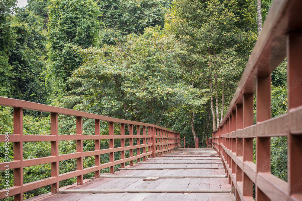 Walking wood bridge in the park