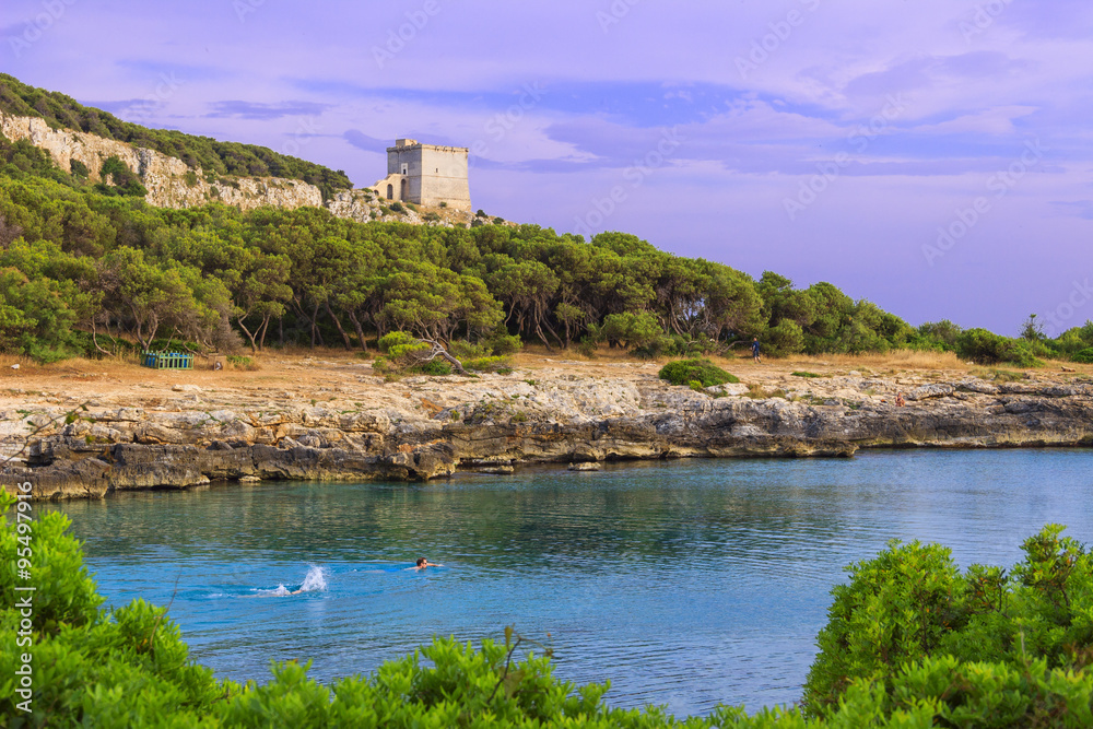 SALENTO. Bay Porto Selvaggio:in the background Dell'Alto watchtower.ITALY (Puglia)..The coast is rocky and jagged, and characterized by pine woods and Mediterranean bush.