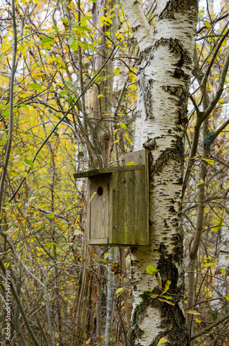 Canvas Print birdhouse in the tree