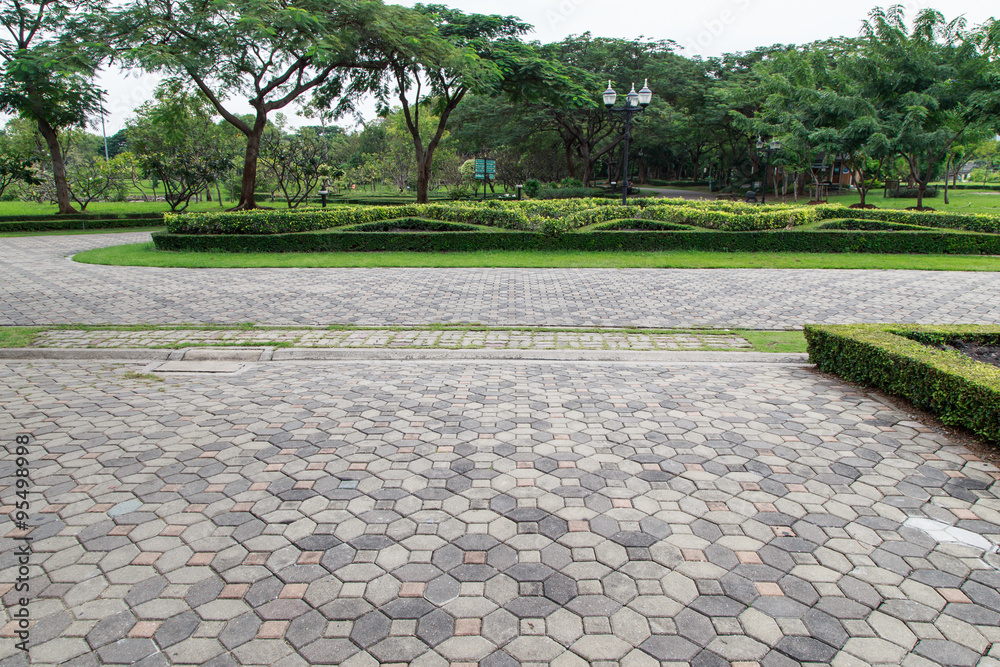walkway view, Botanical garden