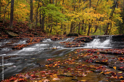 Fototapeta Naklejka Na Ścianę i Meble -  Autumn Waterfall