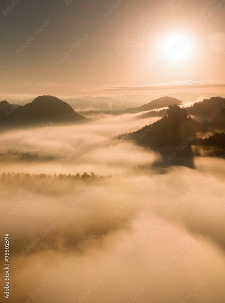 Fototapeta premium Autumn sunset view over forest to fall colorful valley full of dense mist colored with hot sun rays