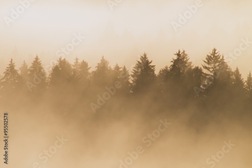 Colorful morning at the end of summer. Colorful summer morning with golden light and striped fog between hills