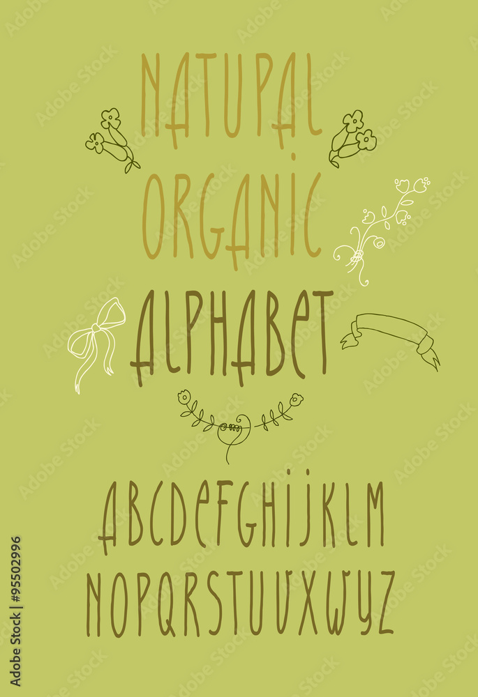 decorative vector alphabet and floral elements decorative vector alphabet and floral elements