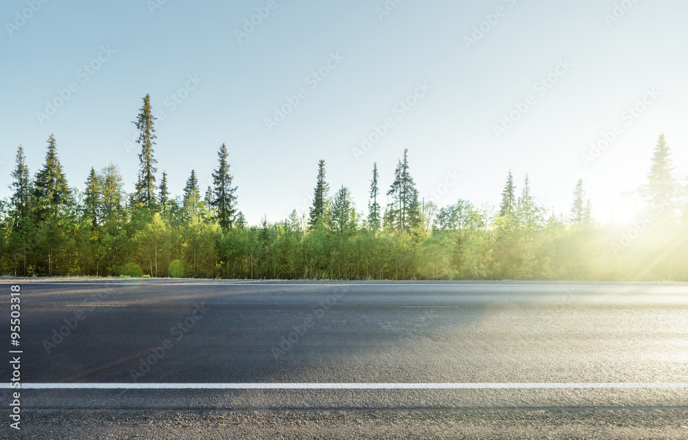 Naklejka premium road in north mountain forest