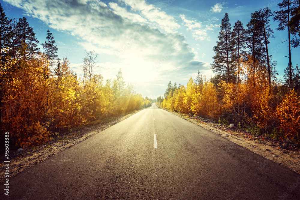 Fototapeta premium road in autumn mountains