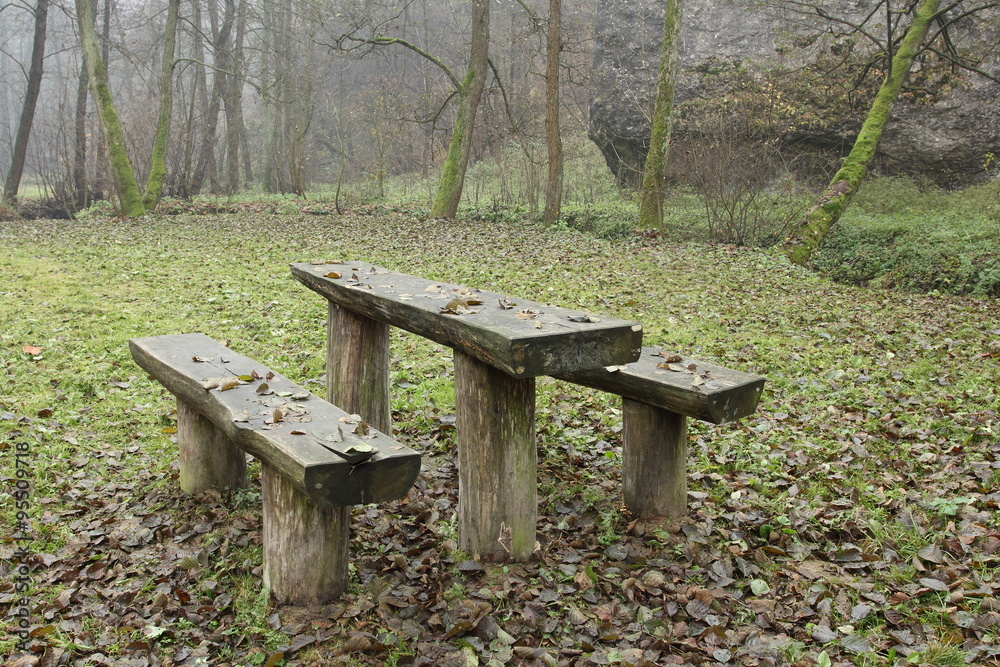 autumn in park