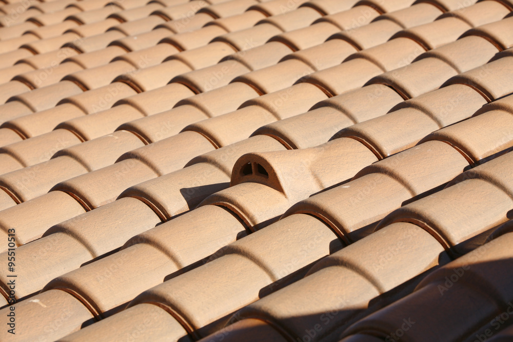 Residential building roof