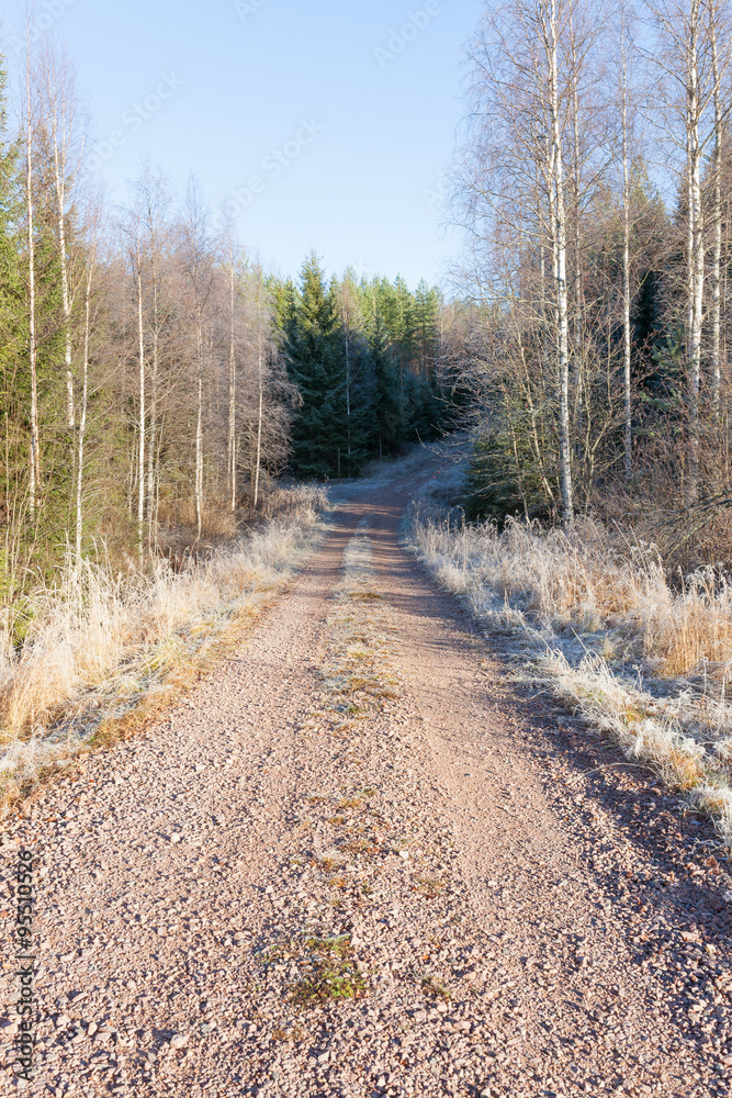 Fototapeta premium Rural dirt road and rime 