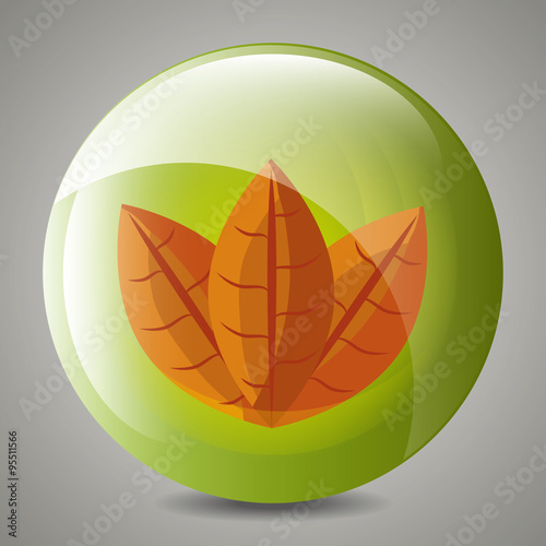 Leaf and leaves ecology graphic 