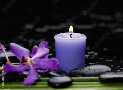 orchid with long leaf and stones, candle on wet background