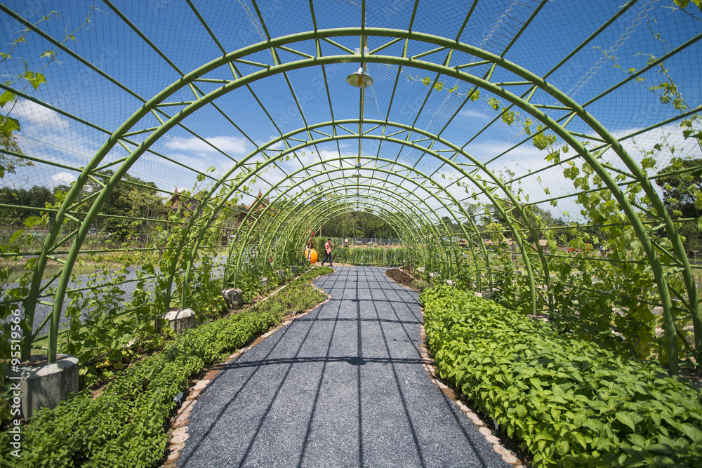Fototapeta premium vegetable kiosks in the garden