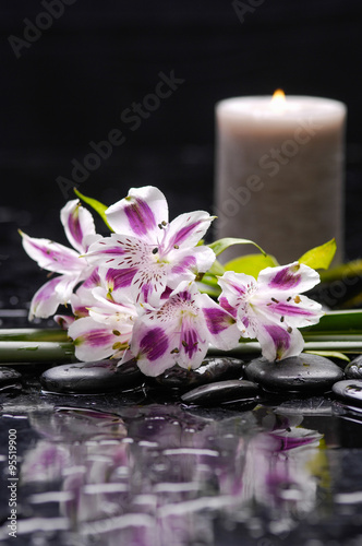 Beautiful orchid with candle and therapy stones 