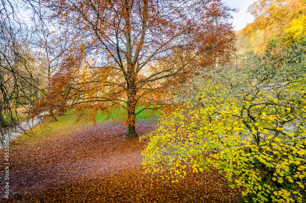 Fototapeta premium Heidelberg