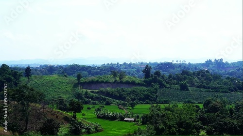 Forest landscape in Chieng rai province the northern part of Thailand photo