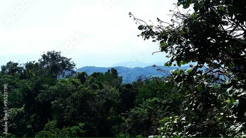 Forest landscape in Chieng rai province the northern part of Thailand photo