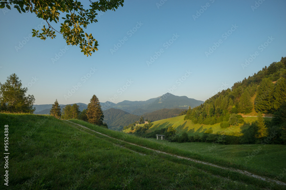 Green hills in slovenia