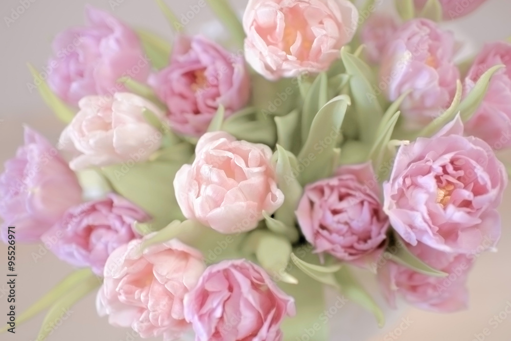 Bouquet of pink tulips. Looking down on a bouquet of tulips. Bouquet of pink tulips. Looking down on a bouquet of tulips.