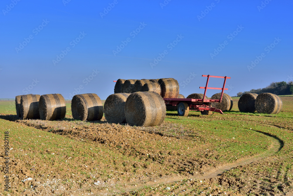 Obraz premium campagne en automne