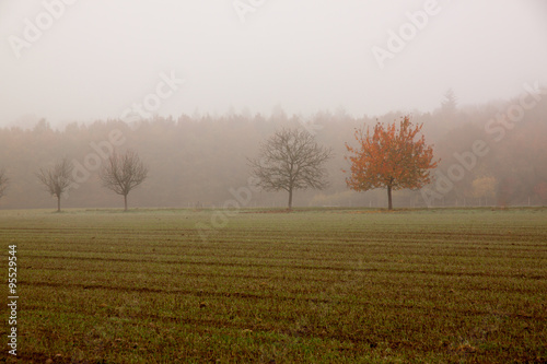 Landschaft im Herbst