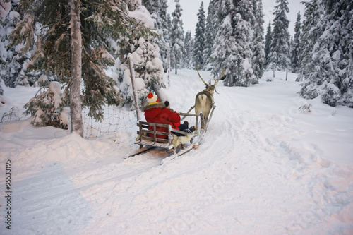 Winter Reindeer sled racing in Ruka in Lapland in Finland
