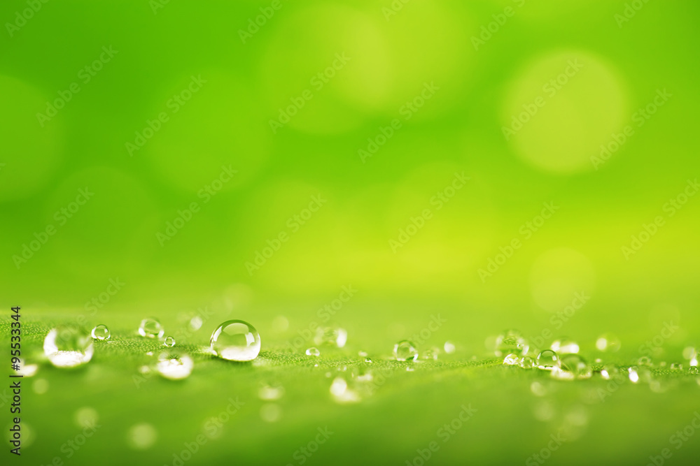 Abstract background, green leaf texture and  rain drops
