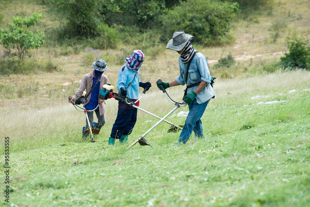The workers were cutting grass The workers were cutting grass