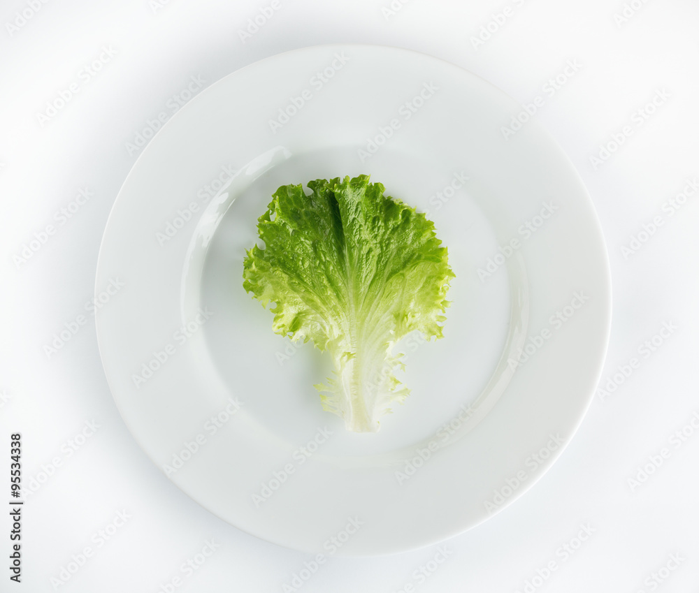 Fresh lettuce in plate isolated on white background Fresh lettuce in plate isolated on white background
