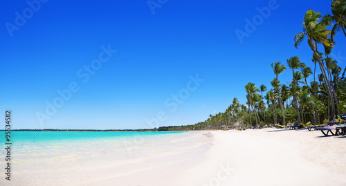 Fototapeta Naklejka Na Ścianę i Meble -  Palm trees on the tropical beach, Bavaro, Punta Cana, Dominican