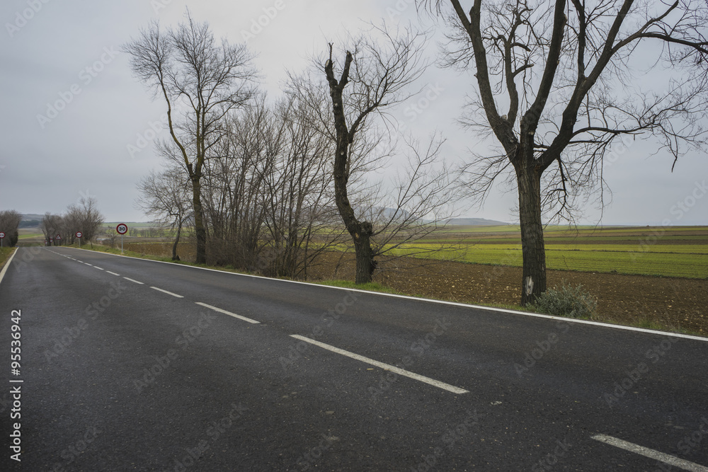 lonely road, desolate landscape with ruins on a cloudy day lonely road, desolate landscape with ruins on a cloudy day