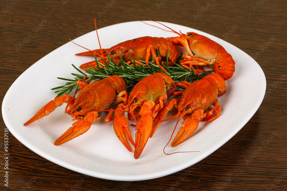 Crayfish Crayfish