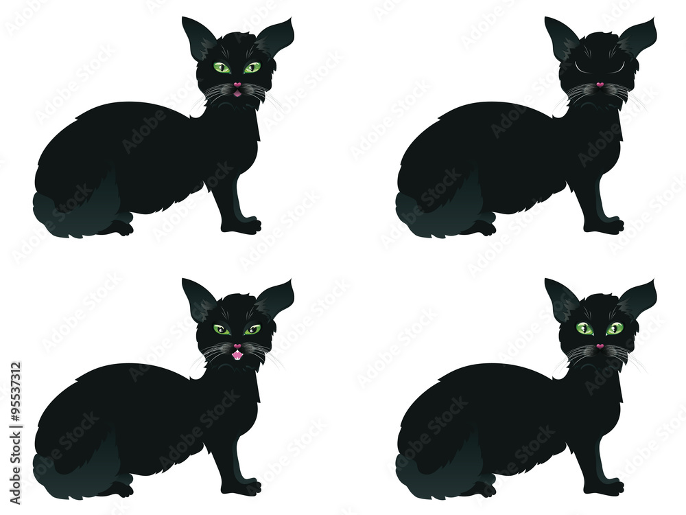 Black Cat with Green Eyes