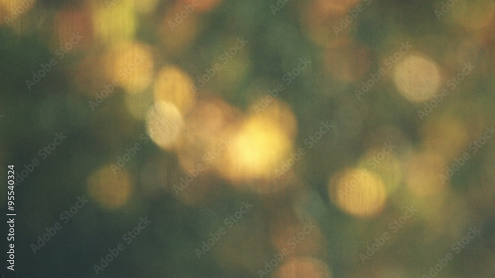 Abstract autumn light bokeh background, blur defocused glittering sunlight through yellow leaves on branches.