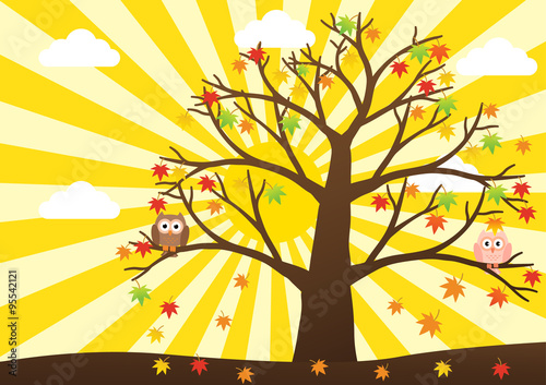 Owls on tree in autumn season and maple leaf fall with sun ray i