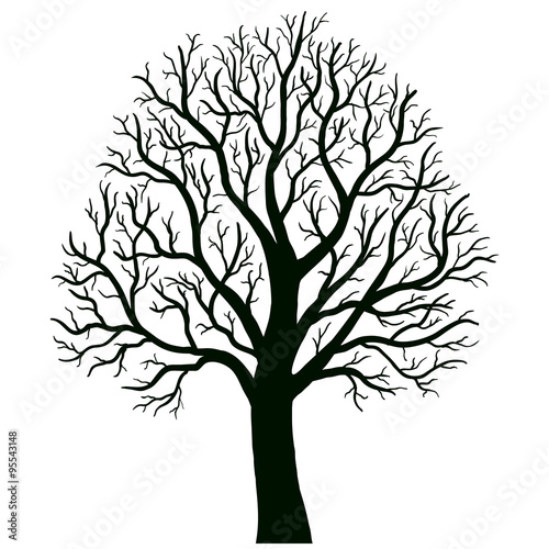 tree isolated