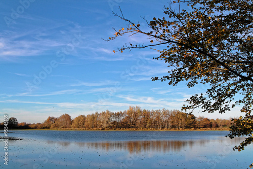 Reflets sur un lac de la Dombes photo