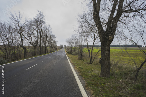 lonely road, desolate landscape with ruins on a cloudy day