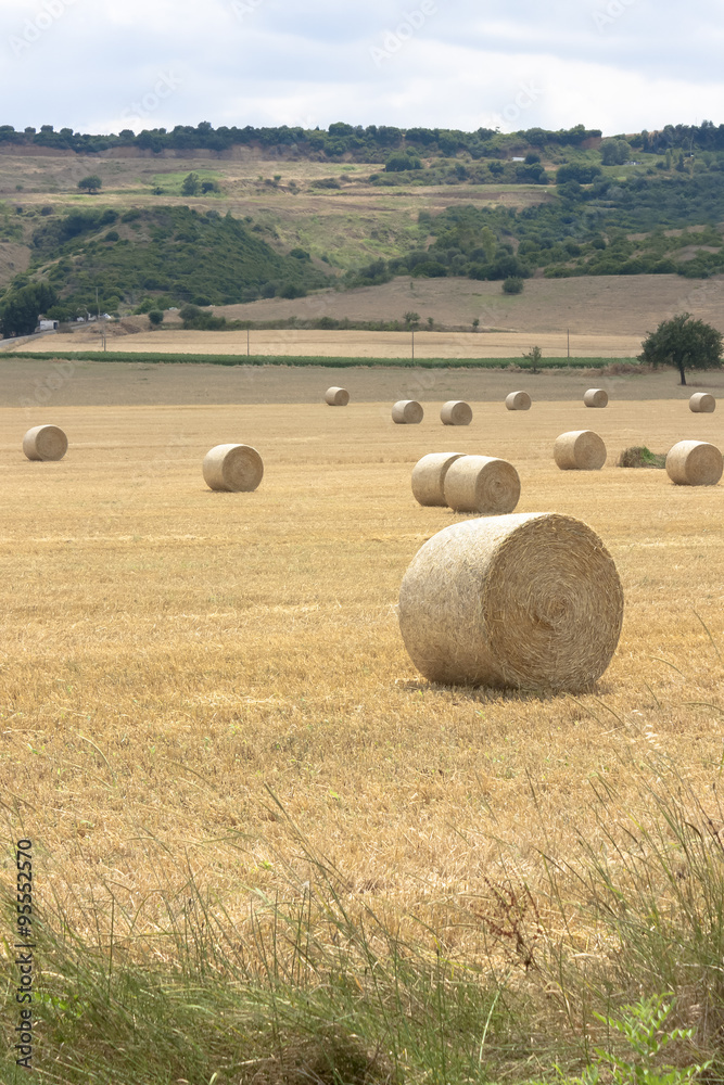Fototapeta premium Harvest time with bales of hay on a cloudy day