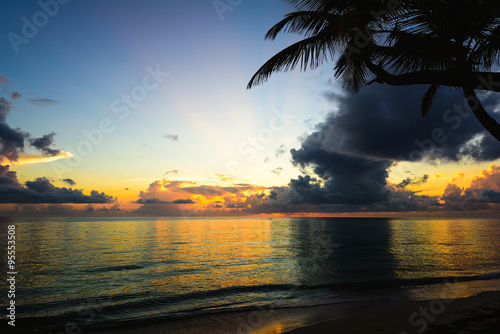Fototapeta Naklejka Na Ścianę i Meble -  sunset silhouette of palm trees