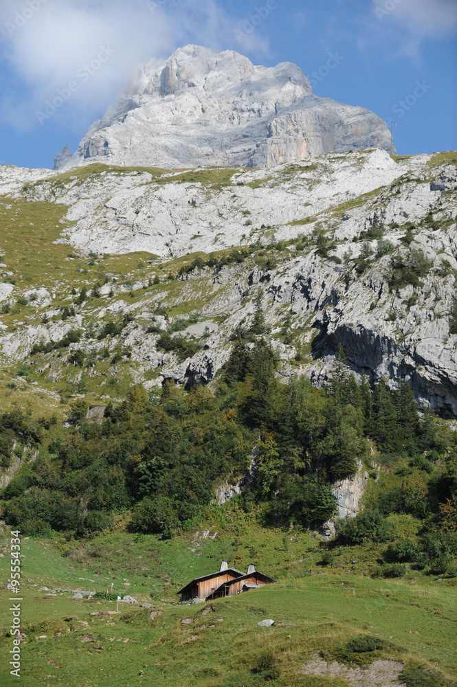 Le Reblochon d'Alpage Le Reblochon d'Alpage