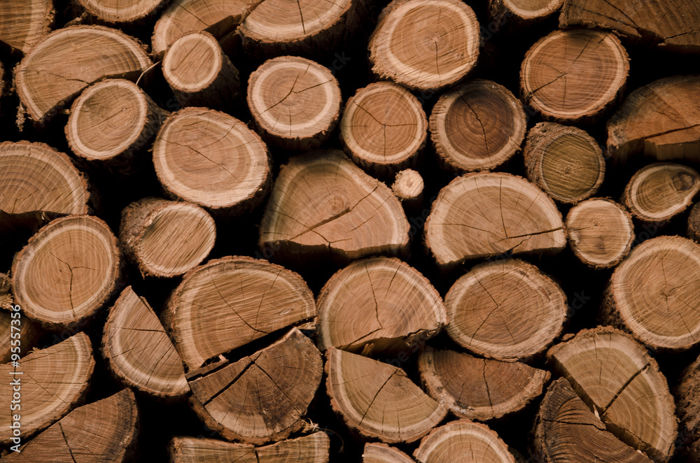 store wodden in autumn