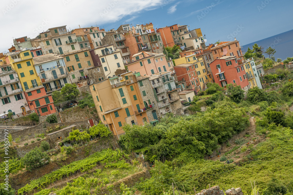 Colorful houses in Cinque Terre